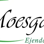 Moesgaard Ejendomsservice ApS