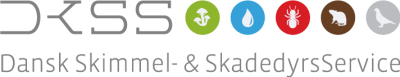 DKSS logo