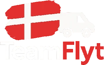 TeamFlyt logo