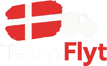 TeamFlyt logo