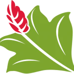 Bredballe Have- og Anlægsservice