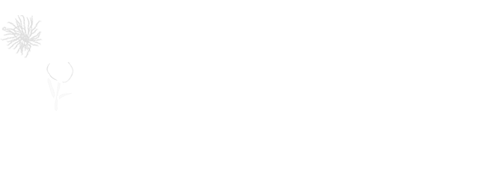 Den Glade Fejer