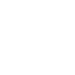 Mesterflyt