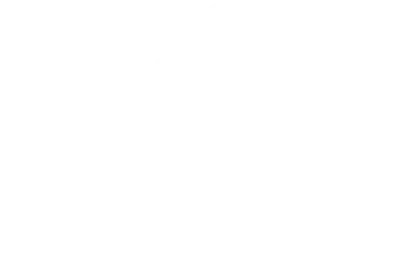 borch-byg.dk logo
