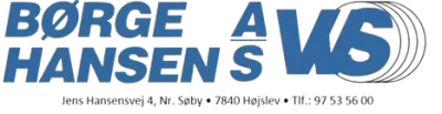 borgehansenvvs.dk logo