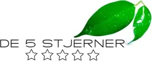 de5stjerner.dk logo