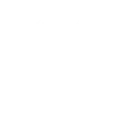 Globus Murerfirma ApS logo