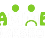 Hammer Køreskole
