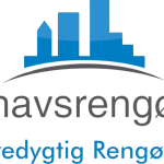 Sydhavsrengøring