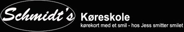 trygitrafikken.nu logo