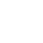 VVS-Vagterne