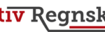 Aktiv Regnskab v/ Heidi Sørensen