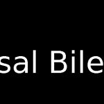 Basal Biler ApS