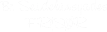 bj-frisor.dk logo
