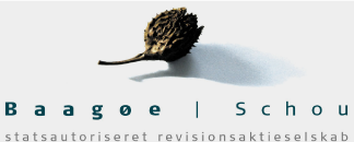 bsrev.dk logo