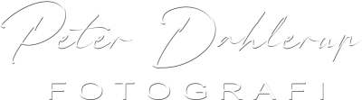 dahlerup.dk logo