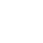 Dansk Revision Viborg