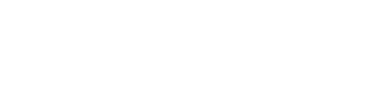 danskrevision.dk logo