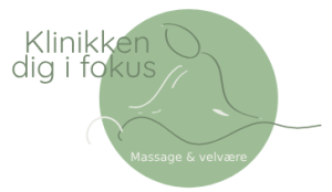 digifokus.dk logo