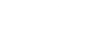 dorteplauborg.dk logo