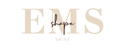 emsshapeskive.dk logo