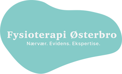 fysioterapioesterbro.com logo