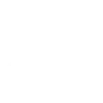 GM Auto Group