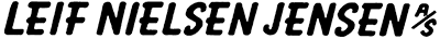 leifnielsenjensen.dk logo