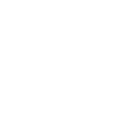 lillevangfoto.dk logo