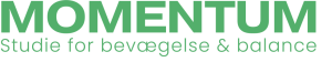 momentumstudie.dk logo