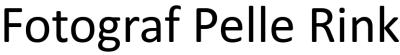 pellerink.com logo