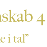 Regnskab 4 Mig