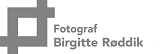 roeddik.dk logo