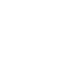 salonvirkelyst.dk logo