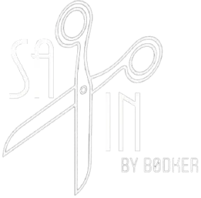 sax-in.dk logo