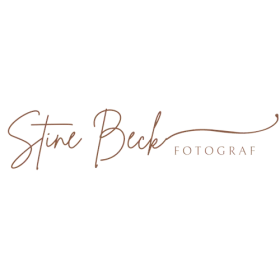 stinebeck.dk logo