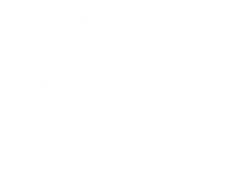 svendborgsnedkeri.dk logo