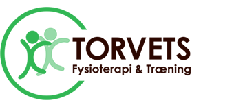 torvetsfys.dk logo