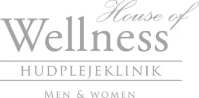 well-ness.dk logo