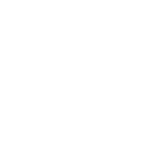 Woiremose & Partner ApS