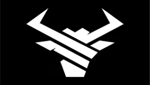 xn--sydhavsernesbox-cub.com logo
