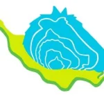 Ærø Dyrlægerne