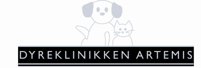 artemis.dk logo