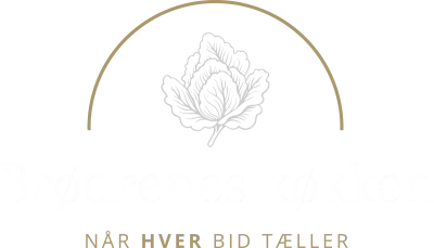 broedreneskoekken.dk logo