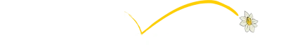 hadsundvps.dk logo