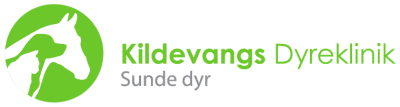 kildevangsdyreklinik.dk logo