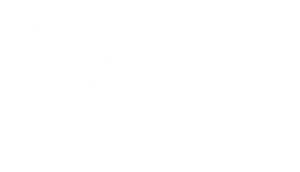 phonixtag.dk logo