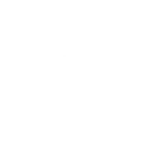 tmspartner.dk logo