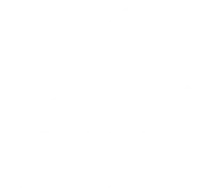 bcinsight.dk logo