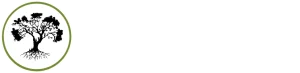 bhsterapi.dk logo
